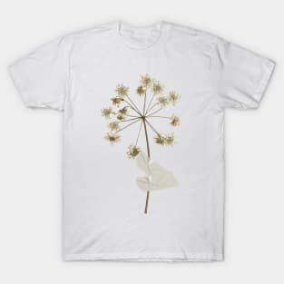 Dried Beautiful Flower T-Shirt